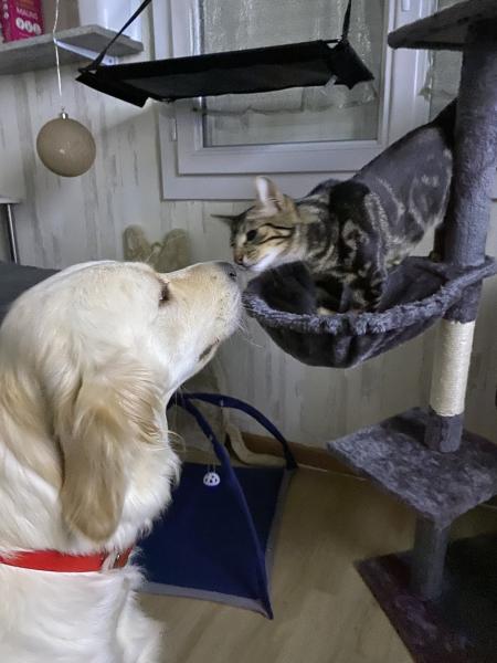 Foto del alojamiento