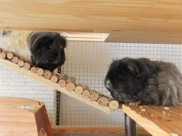 Foto del alojamiento