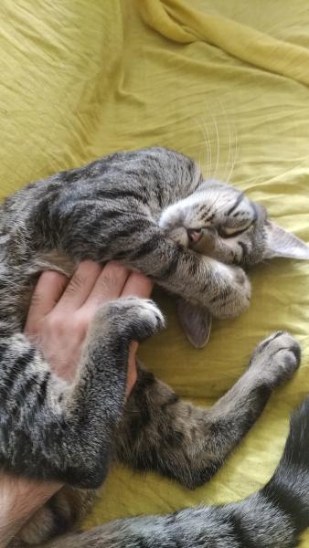 Foto del alojamiento