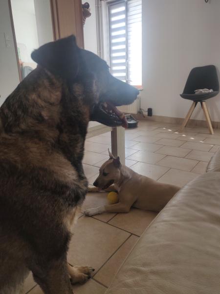 Foto del alojamiento