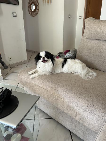 Foto del alojamiento