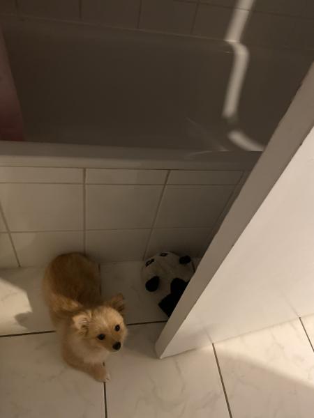 Foto del alojamiento