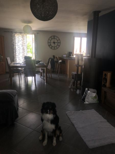 Foto del alojamiento