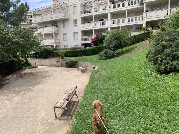 Foto del alojamiento