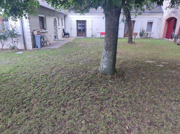 Foto del alojamiento
