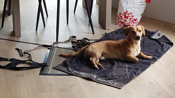 Foto del alojamiento