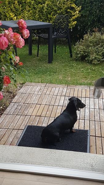 Foto del alojamiento