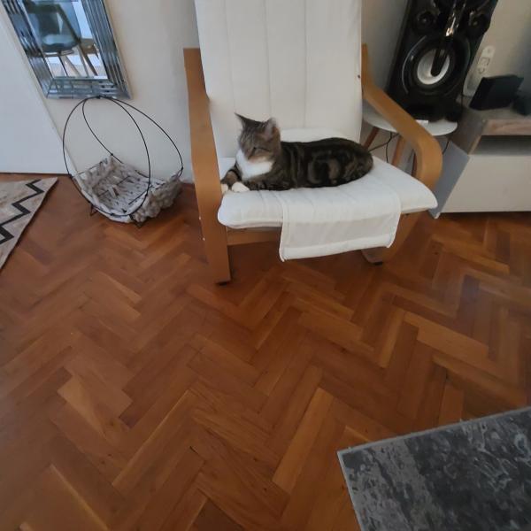 Foto del alojamiento