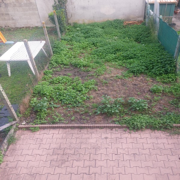 Foto del alojamiento