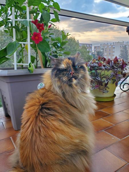 Foto del alojamiento