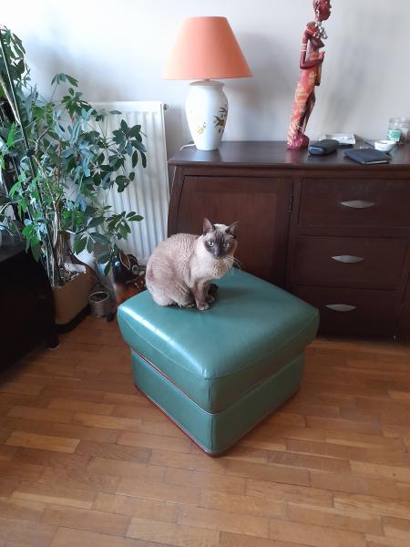Foto del alojamiento