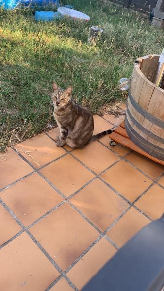 Foto del alojamiento