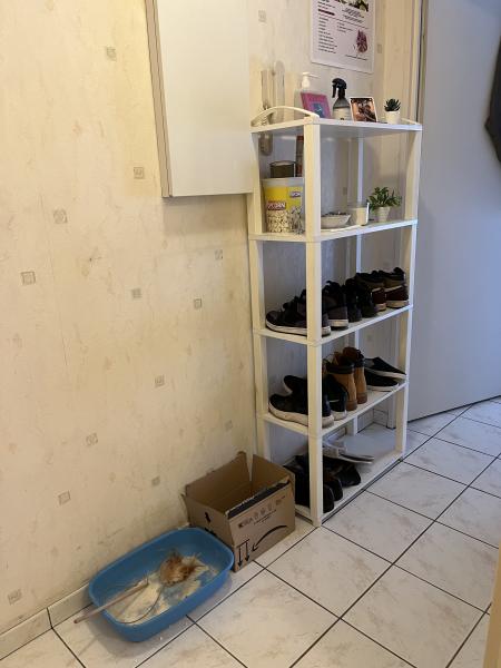Foto del alojamiento