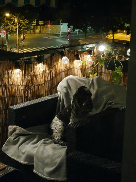 Foto del alojamiento