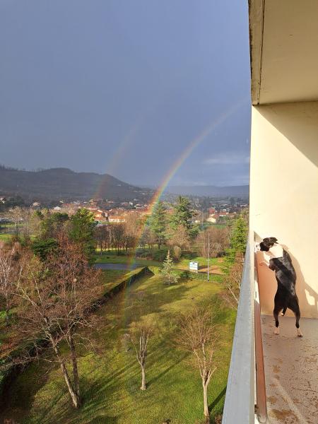 Foto del alojamiento