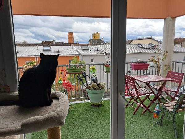 Foto del alojamiento