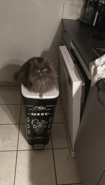 Foto del alojamiento