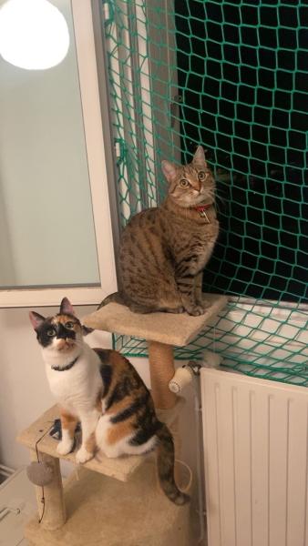 Foto del alojamiento
