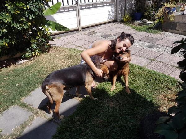 Foto del alojamiento