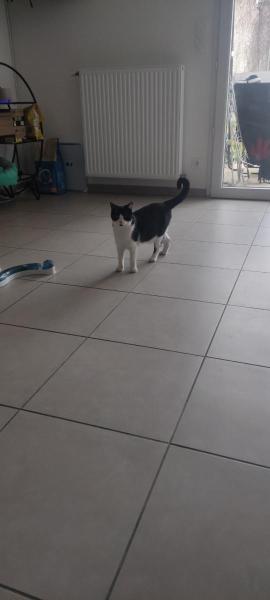 Foto del alojamiento