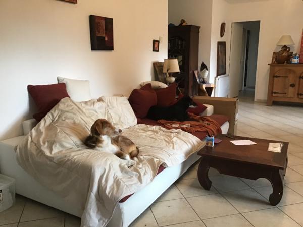 Foto del alojamiento