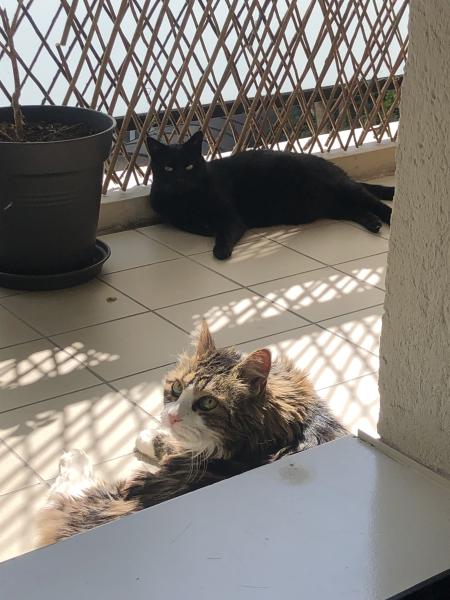 Foto del alojamiento