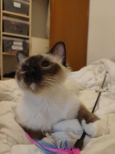 Foto del alojamiento