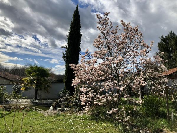 Foto del alojamiento