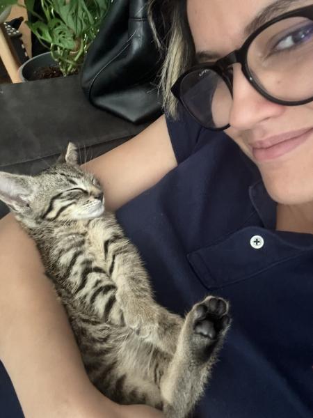 Foto del alojamiento