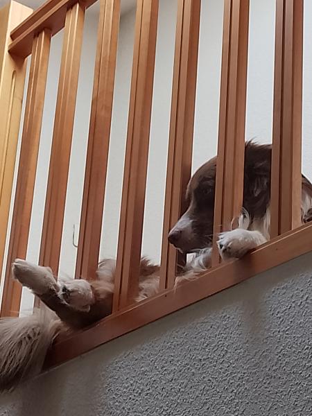 Foto del alojamiento