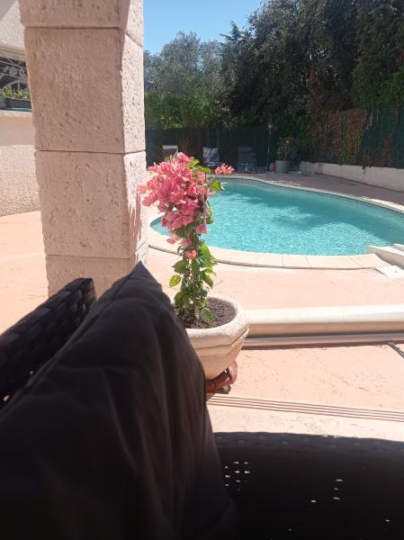 Foto del alojamiento