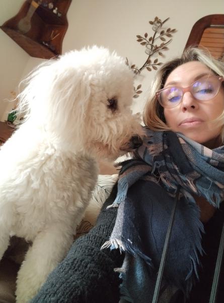 Foto del alojamiento