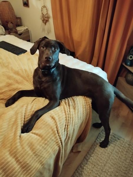 Foto del alojamiento