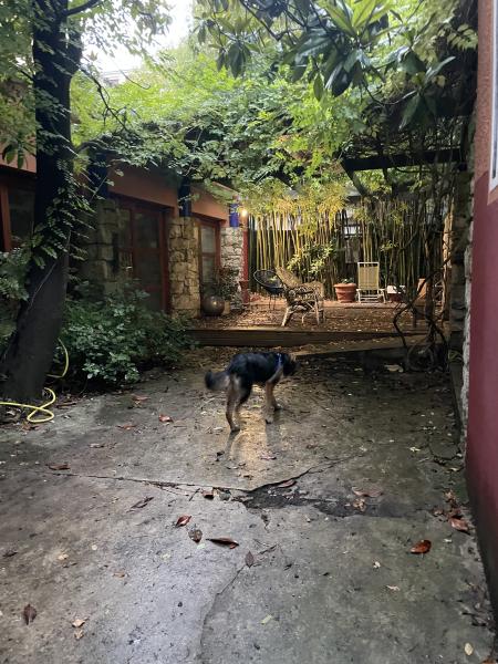 Foto del alojamiento