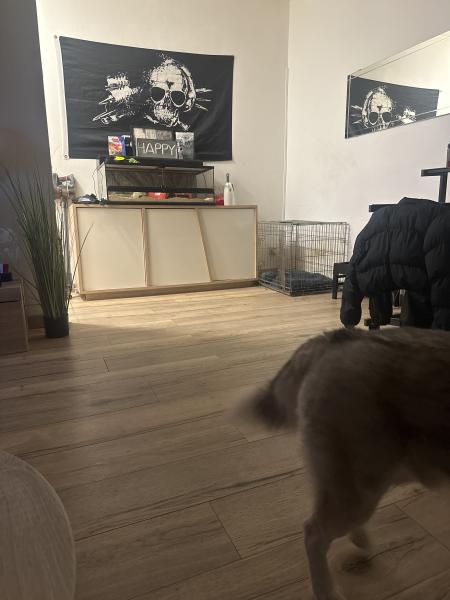 Foto del alojamiento