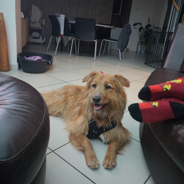 Foto del alojamiento