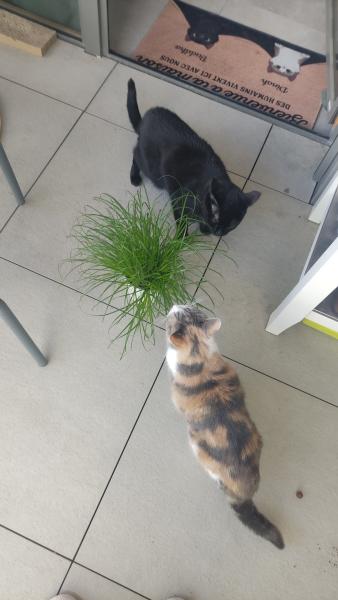 Foto del alojamiento