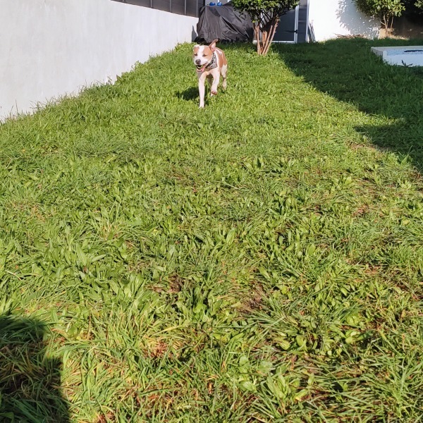 Foto del alojamiento