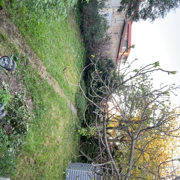 Foto del alojamiento