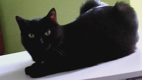 Foto del alojamiento