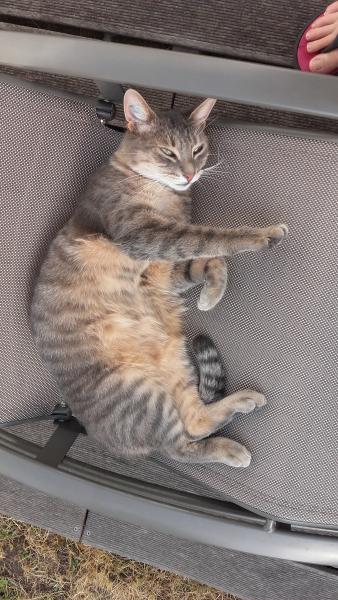 Foto del alojamiento