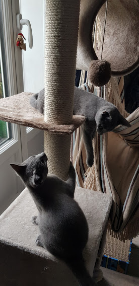 Foto del alojamiento
