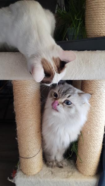 Foto del alojamiento