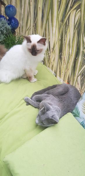 Foto del alojamiento