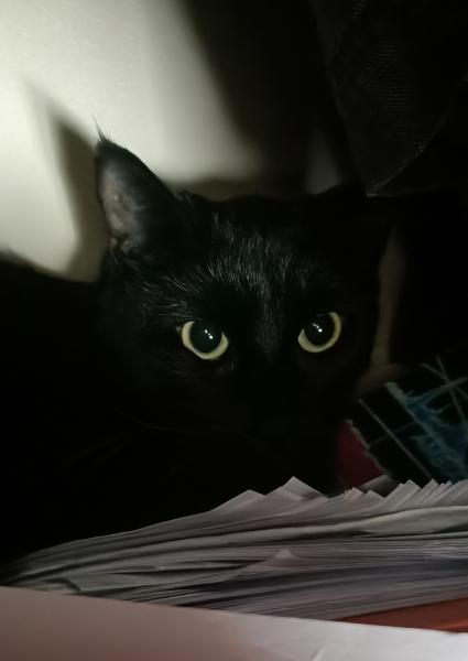 Foto del alojamiento