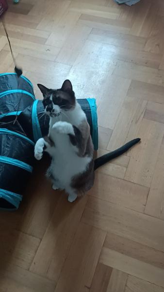 Foto del alojamiento