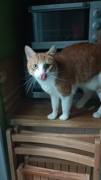 Foto del alojamiento