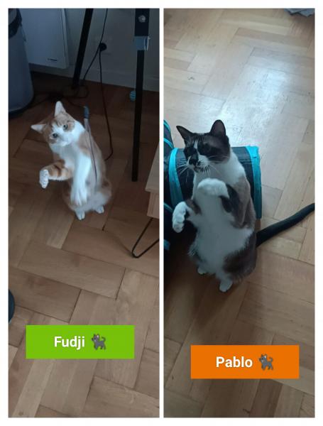 Foto del alojamiento