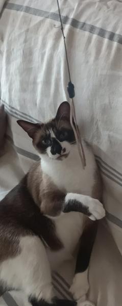 Foto del alojamiento