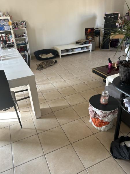 Foto del alojamiento